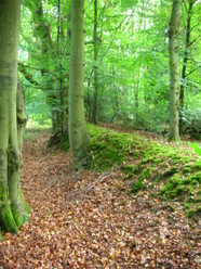 08 Sep 2013: Woodbank in 2B northeast